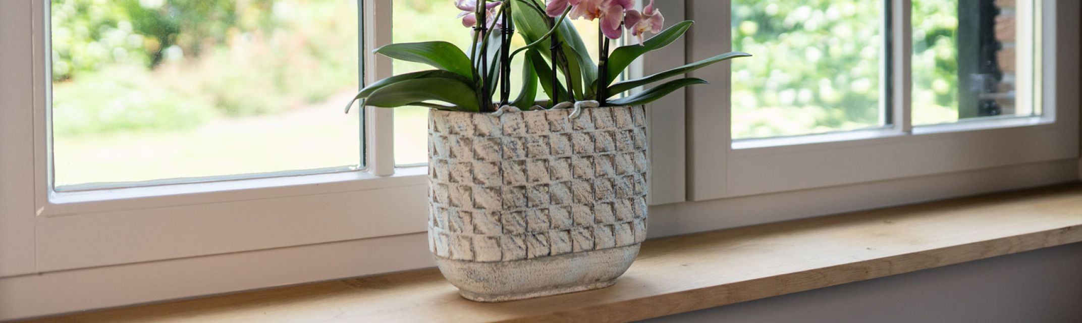 Planter Planter