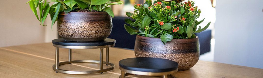 TS Collection lifestyle indoor TS Collection lifestyle indoor