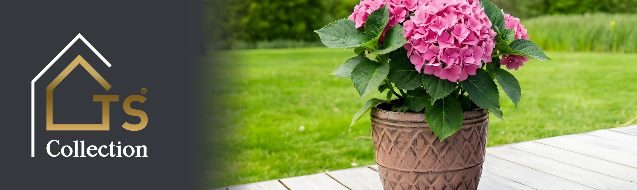 Mother's day Mother's day