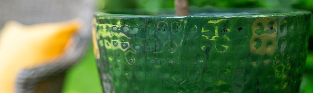 Everything for your autumn bloomers Everything for your autumn bloomers