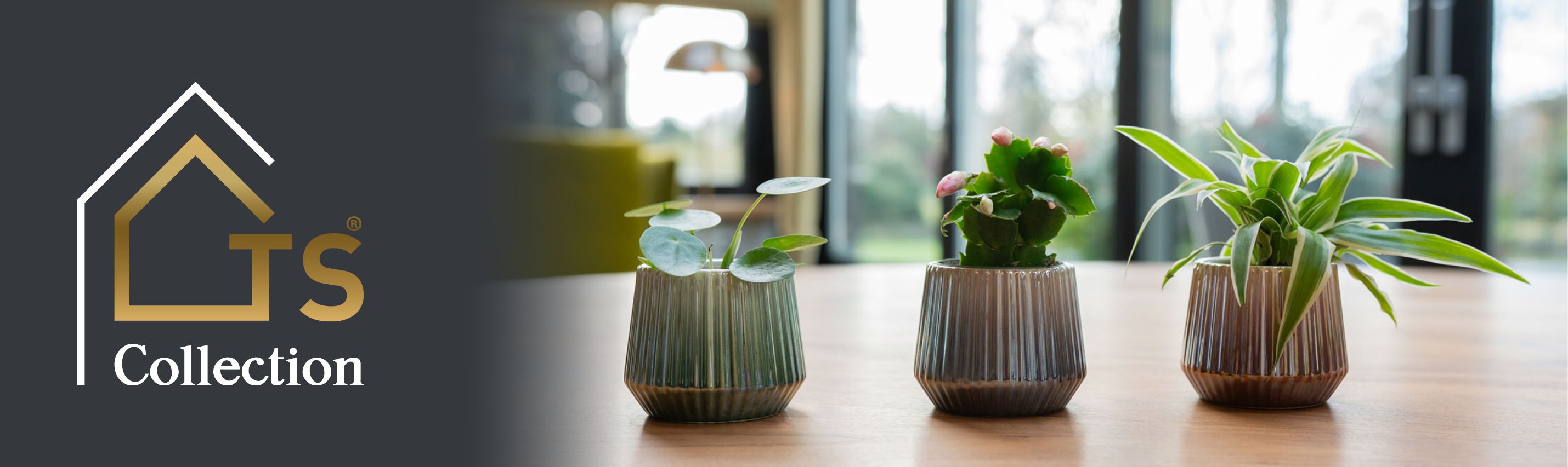 Indoor pots Indoor pots