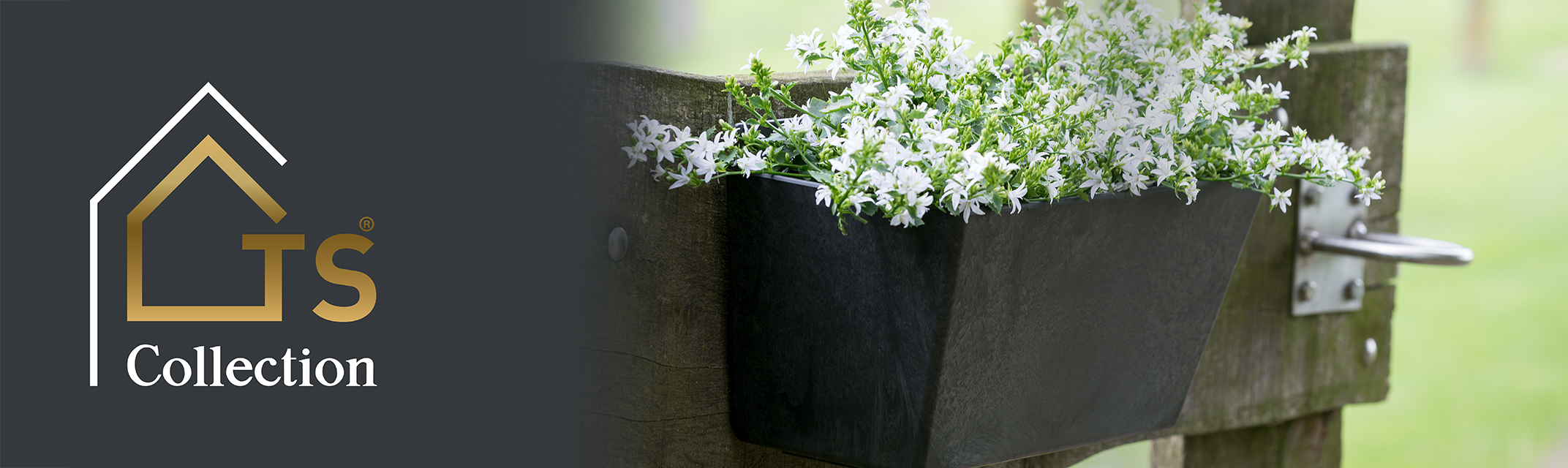 Wallhanger Wallhanger