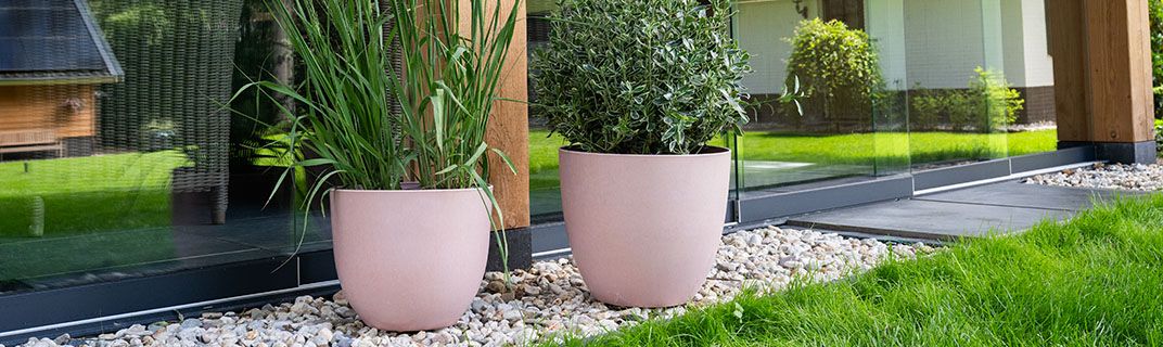 Assortment Assortment