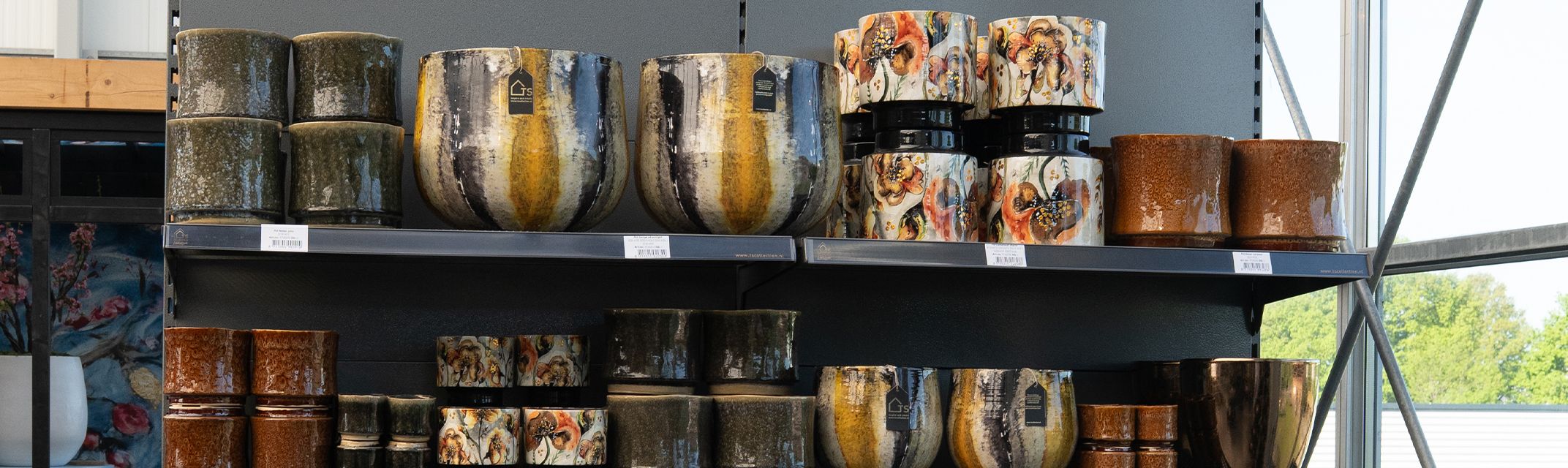 Camelia - Soraya Camelia - Soraya