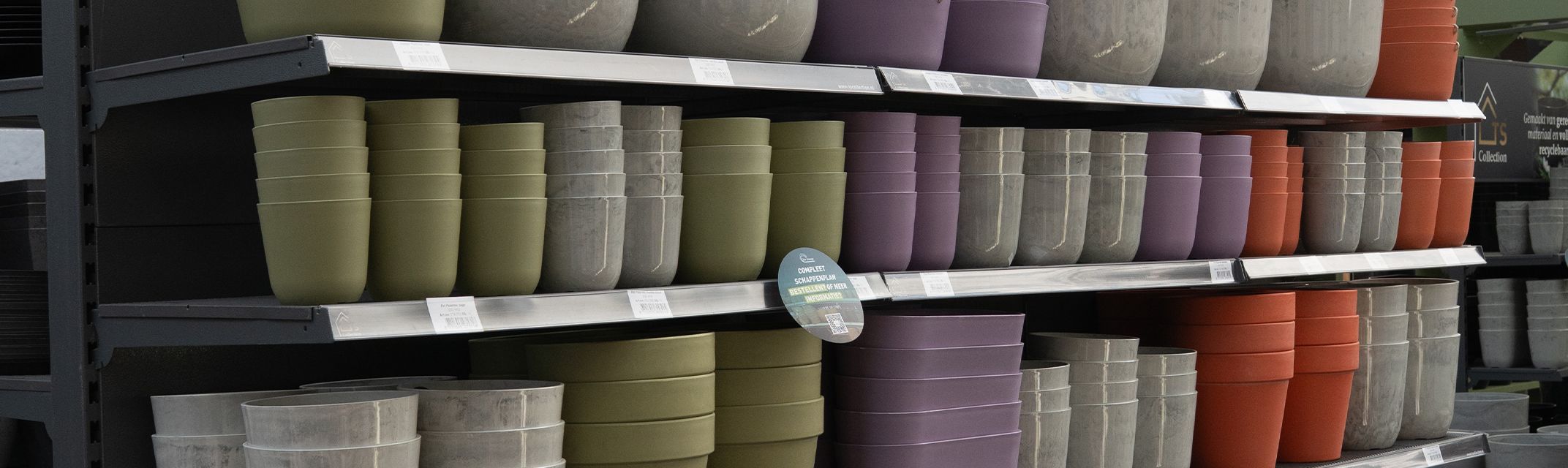 Palermo colored Palermo colored