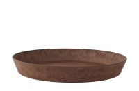 Saucer Claire oak D35 H5