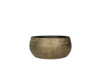 Bowl Ryan shiny gold D28 H13