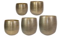 Pot set of 5 Rowen gold D60 H62