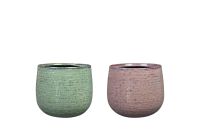 Display pot Seya 140pc colour D57x80 H106 2 assorted