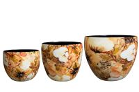 Pot set of 3 Cotton cream D21 H16