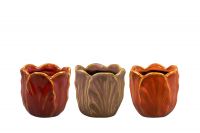 Pot Tulip colour D8 H8