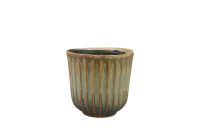 Pot Roger thyme D13 H12