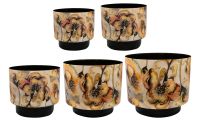 Pot set of 5 Camelia charm D22 H20