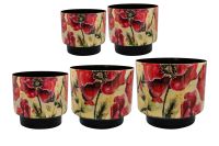 Pot set of 5 Camelia poppy D22 H20