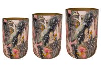 Pot set of 3 Monstera mystery D58 H78