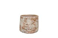 Pot Masha mint D15 H12