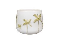Pot Palm white D21 H17
