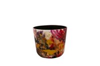 Pot Sweet magnolia D8 H7
