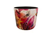 Pot Sweet magnolia D21 H18