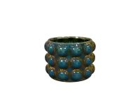 Pot Musa shiny green D14 H11