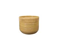 Pot Nona mustard D14 H13