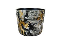 Pot Marigold ash D23 H20