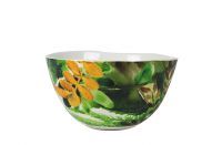 Bowl Urban Plant colour D15 H8