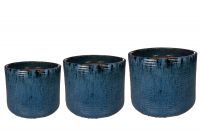 Pot set of 3 Gilia blue D37 H33