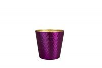 Pot Pepijn purple D13 H12