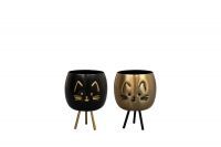 Pot Cat colour D8 H11 2 assorted