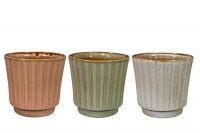 Display pot Hilda 168pc colour D55x80 H105 3 assorted