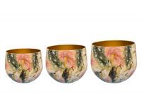 Pot set of 3 Monstera mystery D21 H17