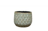 Pot Debby thyme D15 H14
