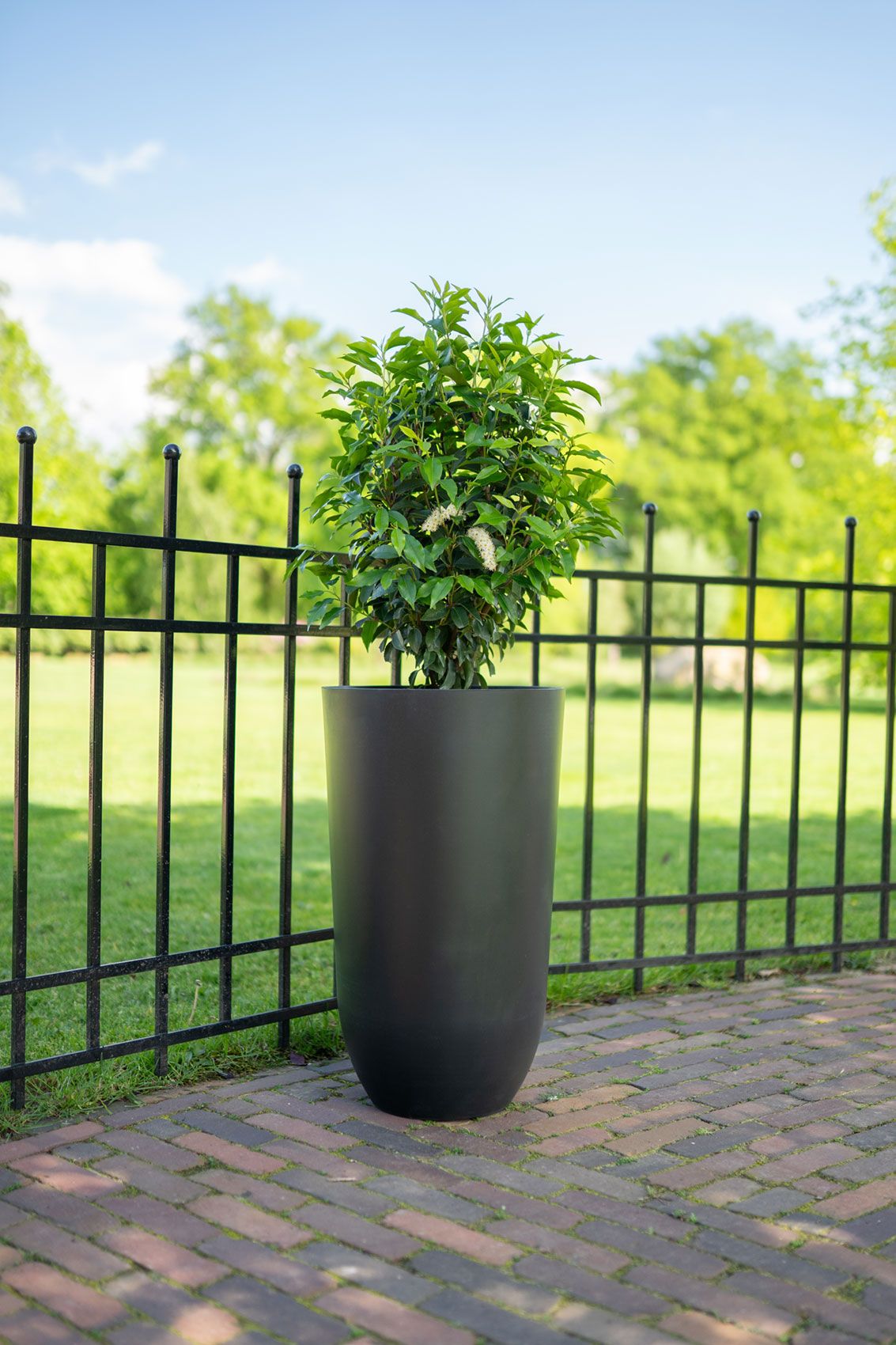 Wholesale webshop flower pots | Ter Steege