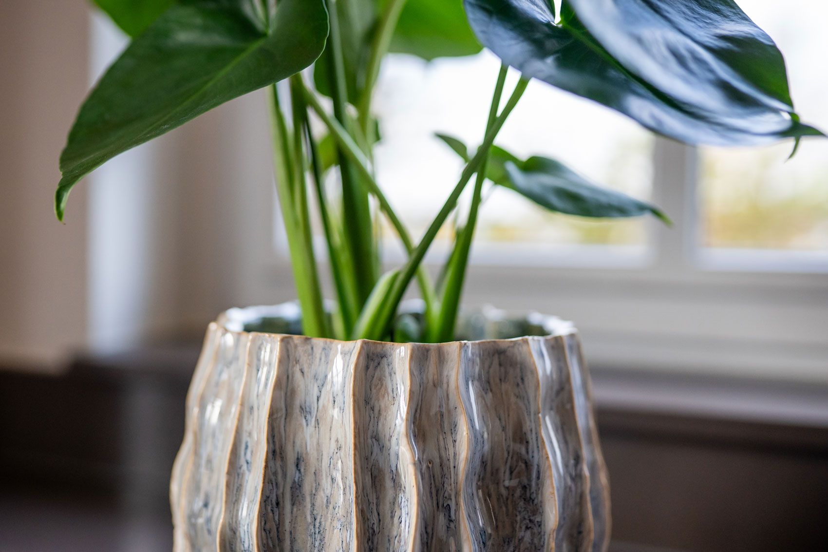 Collection Autumn Winter 2026